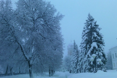 Новости Ульяновска: мышиная лихорадка, интернет, электросети