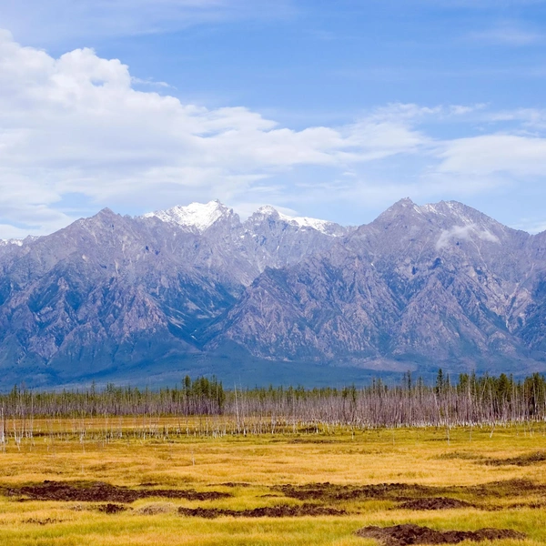 Источник: Vovez/Shutterstock/Fotodom.ru