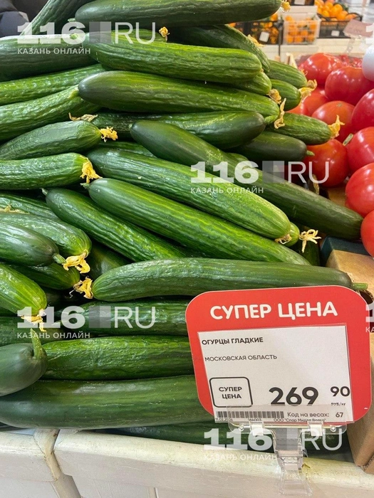 Гладкие огурцы можно купить дешевле, но с учетом скидки | Источник: Руфина Калимуллина / 116.RU