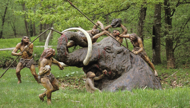 Ножи и кости мамонтов: найдены следы большого пиршества возрастом 39 тысяч лет