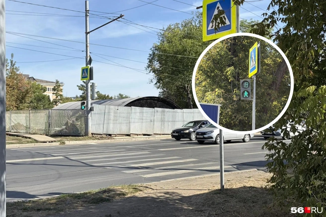 Ближайший пешеходный переход | Источник: Николай Сальников / 56.RU