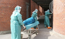 В Петербурге готовятся к появлению пациентов с лихорадкой Эбола