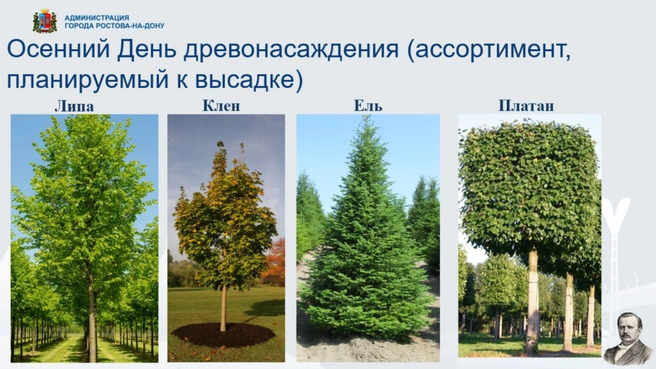 Источник: rostov-gorod.ru