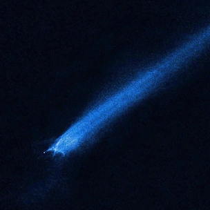 Действительно, 5 октября 2024 — дата потенциального конца света?