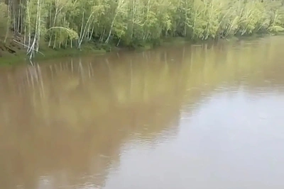 В Забайкалье проверяют реку Ульдурга из-за жалоб на загрязнение