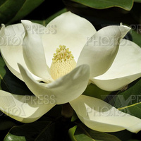 Аватарка j.cloverhill