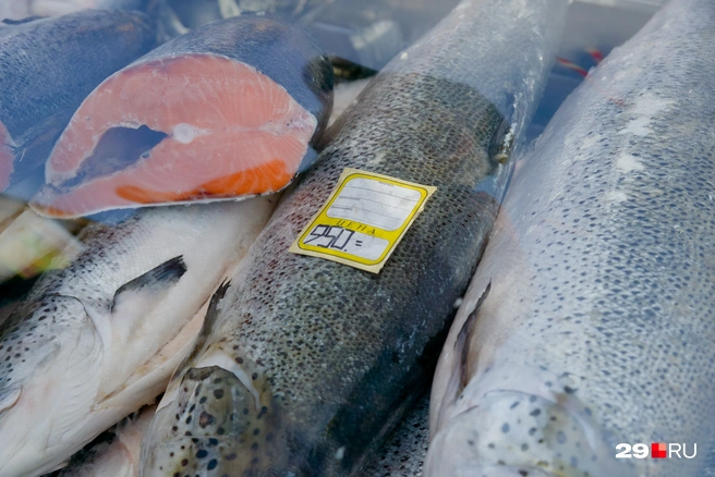 Семга попадается в самую разную цену. Пожалуй, самый бюджетный вариант, какой нам попался, — 950 рублей | Источник: Иван Митюшёв