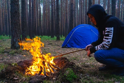 Жители Омской области получают SMS о штрафах за поджог леса