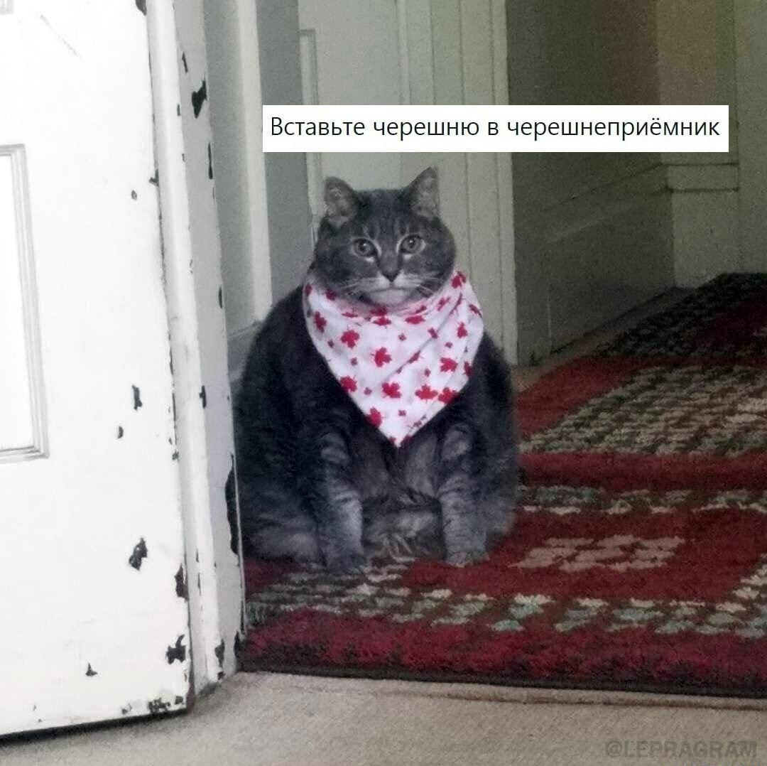 Немного о черешне :-) Здравствуйте, уважаемые, Приятного, времени, суток