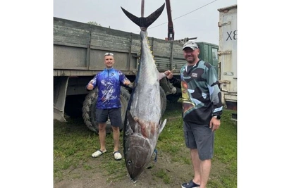 Сахалинцы поймали гигантского тунца в заливе Мордвинова