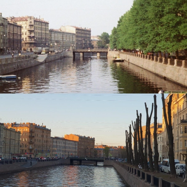 Источник: Деревья Петербурга / ВКонтакте