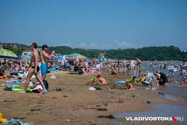 Источник: Елена Буйвол / VLADIVOSTOK1.RU