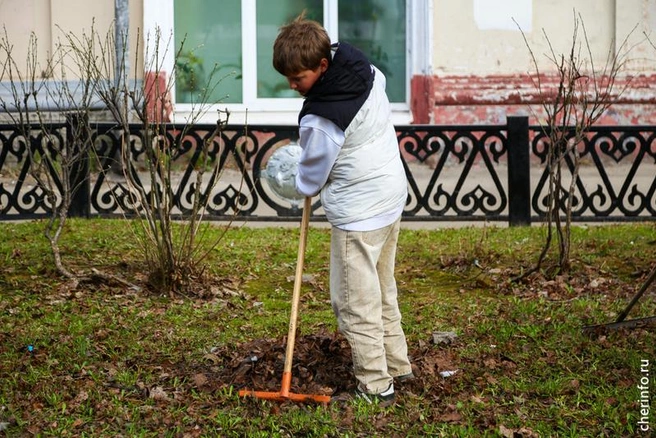 Источник: st.cherinfo.ru