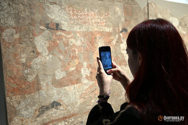 «Согдийские художники — непредсказуемые». Реставраторы Эрмитажа показали восстановленные росписи с Великого шелкового пути | Источник: Илья Снопченко / «Фонтанка.ру»