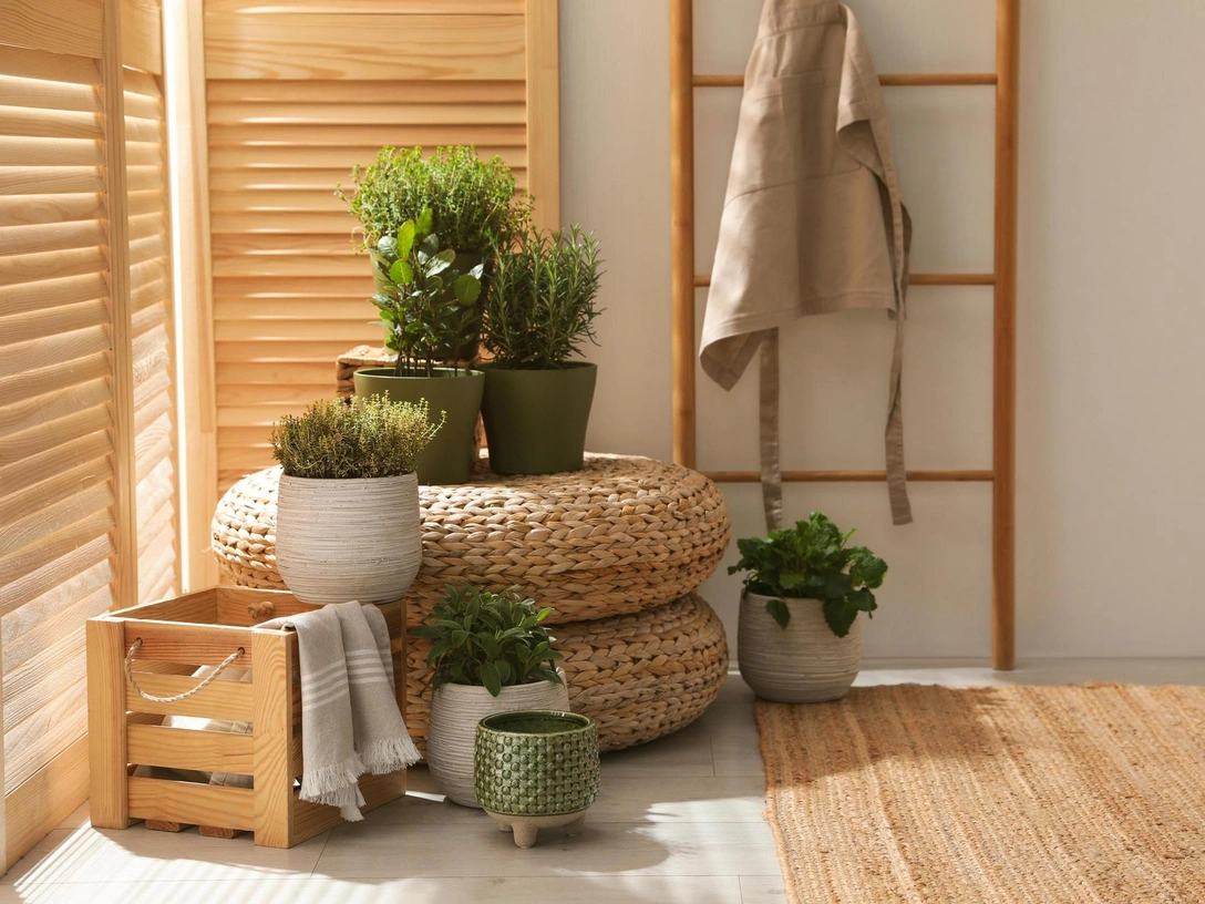 Знают все хозяйки: простой лайфхак, как убирать пыль всего раз в месяц — вам стоит это попробовать | marieclaire.ru