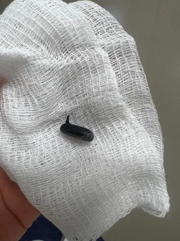 Игрушечный башмачок | Источник: СОДКБ