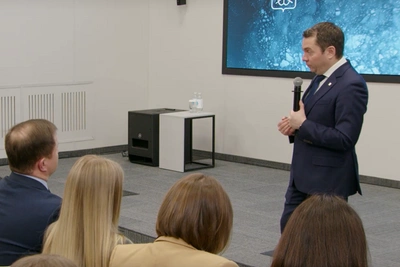 Are public sector workers complaining? Chibis on savings and optimization