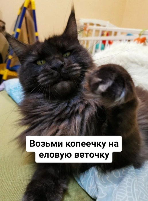 Источник: Дарья Лисицына
