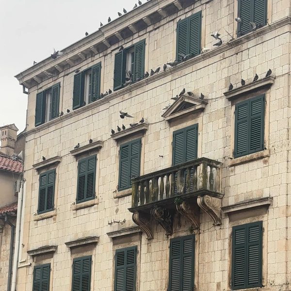 Старый город | Источник: Габриелла Захарова / 26.RU