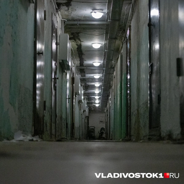 Источник: Елена Буйвол / VLADIVOSTOK1.RU