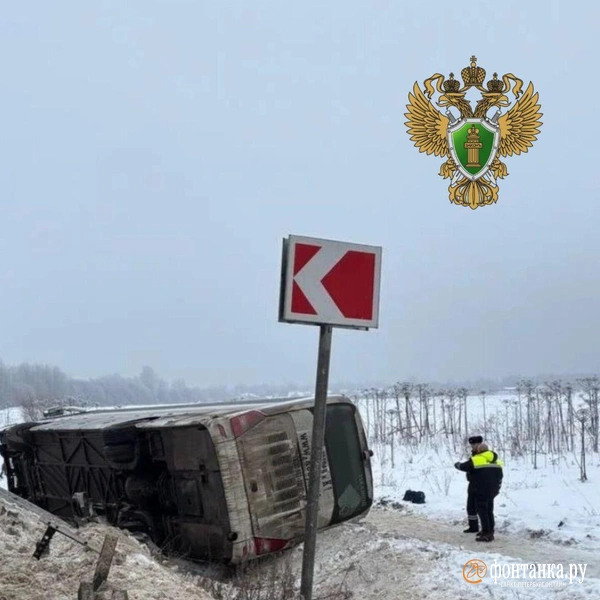 Стало известно состояние пострадавших в ДТП с автобусом на трассе «Нарва» | Источник: Прокуратура Ленинградской области