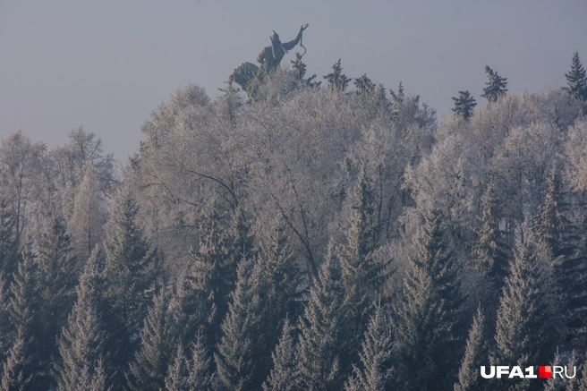 Источник: Булат Салихов / UFA1.RU