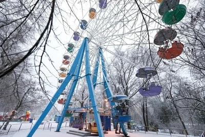 January Blizzard Howls: Weather Forecast for Rostov and Region