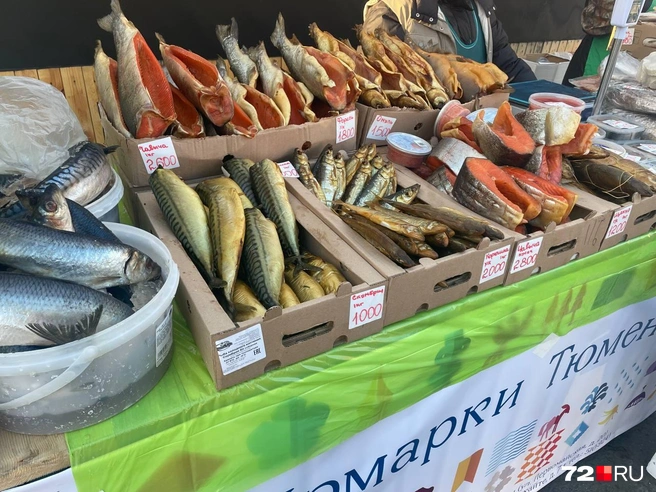 Разная рыба. Не всем может быть по карману | Источник: Радик Енчу / 72.RU