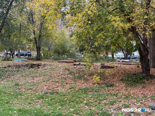 Найти такие можно практически во всём районе, за исключением новых домов | Источник: Полина Шевчукова / NGS22.RU