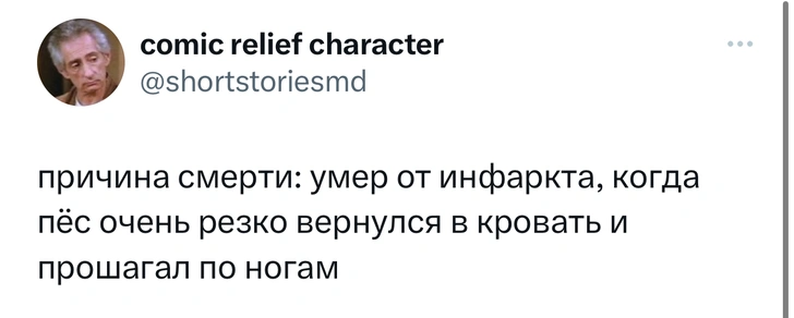 Шутки четверга и «концерт чечеточников»