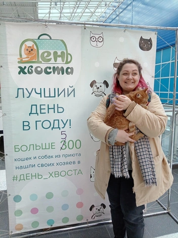 Многие коты и собаки уезжают с ярмарки в новые дома | Источник: Ярмарка-раздача День Хвоста | Новосибирск /ВКонтакте