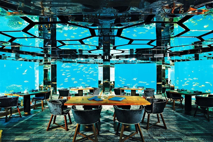 Полное погружение: топ-10 лучших подводных ресторанов (фото 1)