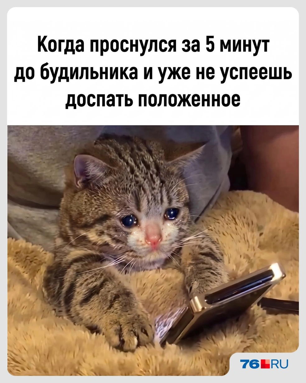 Неприятная ситуация | Источник: Городские медиа
