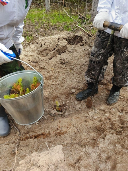 Источник: Минприроды Пермского края