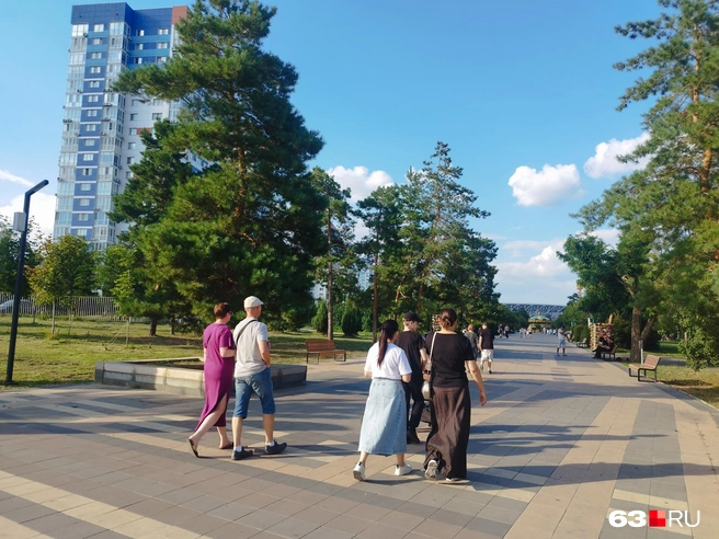 В Волгограде на каждом шагу ёлки&nbsp;— это просто город ёлок! | Источник: Александра Исмайлова / 63.RU