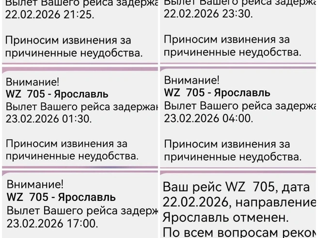 Пассажиры сообщали о многократных переносах вылета перед окончательной отменой. | Источник: Жесть Ярославль / Telegram