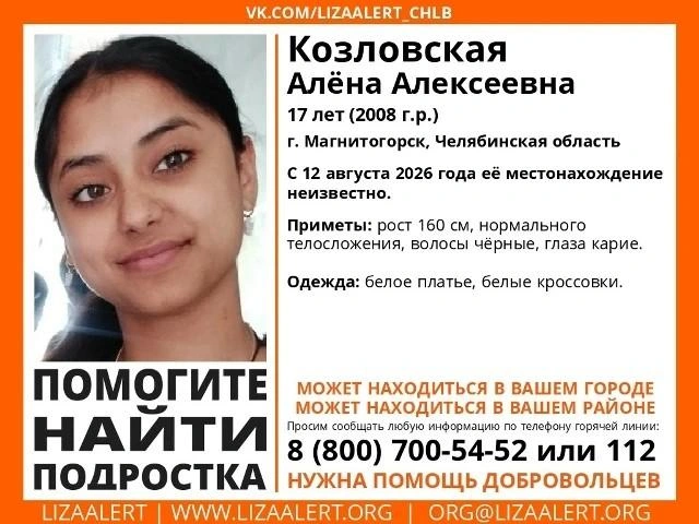 Источник: Поисковый отряд «ЛизаАлерт» Челябинской области