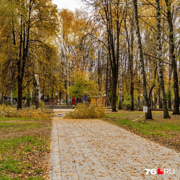 Осенью парк преобразился | Источник: Кирилл Поверинов / 76.RU