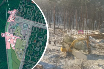 В Уфе вырубают лес за бульваром Славы под застройку