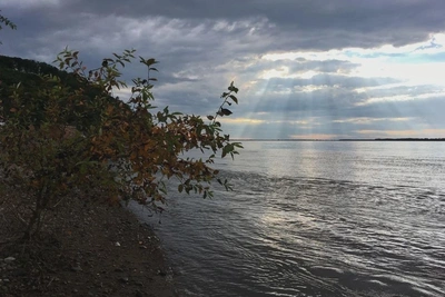 Уровень Амура у Хабаровска держится на отметке пять метров