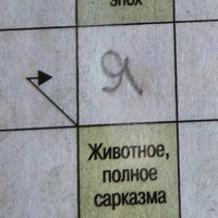 Аватарка Alpak