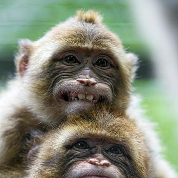 Источник: Соцсети