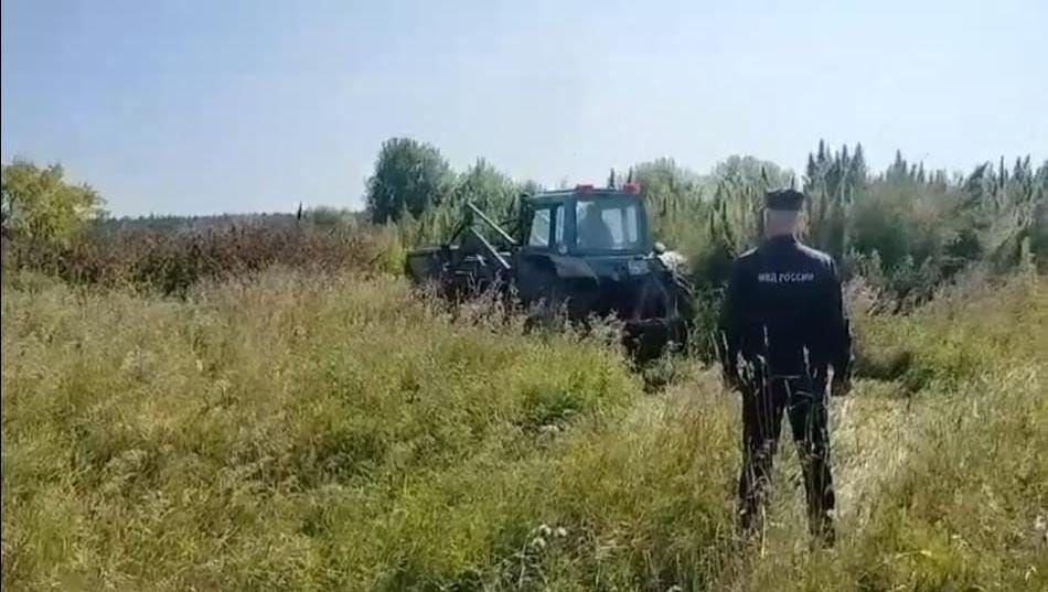 На Урале поймали двух педофилов. Они прятались в кустах конопли 