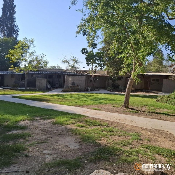 Источник: Ирина Багликова / «Фонтанка.ру»