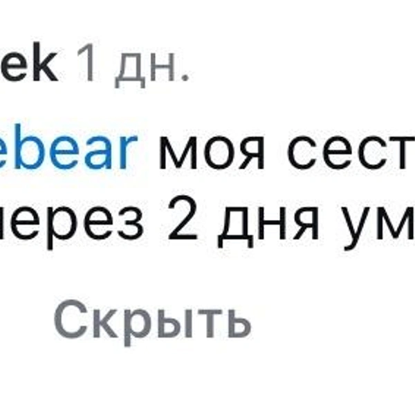 Источник: Софья Шмакова / Vk.com