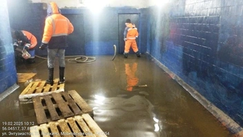 Источник: adm-pushkino.ru