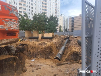 Источник: Арина Майорова / MSK1.RU