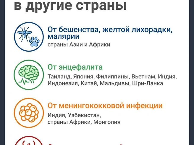 При планировании поездки продолжительностью свыше шести месяцев рекомендуется сделать прививку от гепатита B или провести ревакцинацию. | Источник: Юрий Орлов / Городские медиа