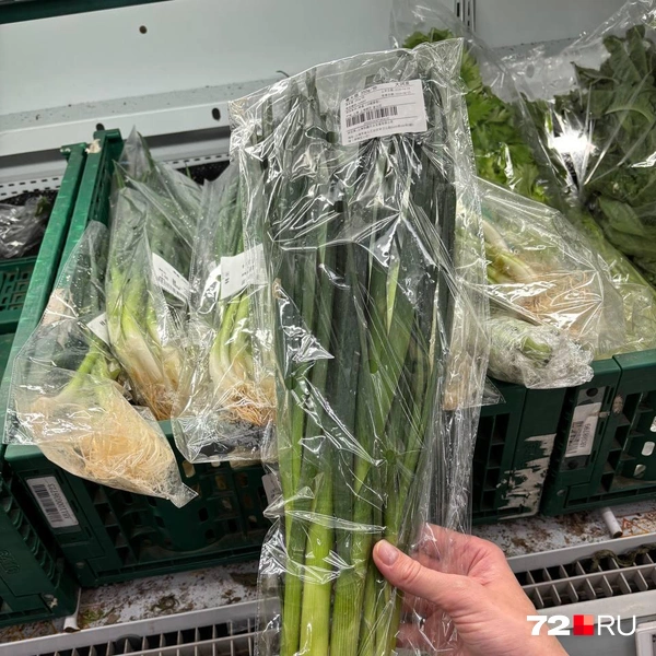 Зеленый лук. 200 грамм упаковка&nbsp;— 50₽ | Источник: Аксиния Петрова специально для 72.RU