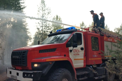 Сергей Ситников утвердил план тушения лесных пожаров в Костромской области
